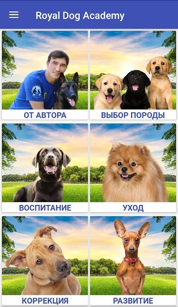 Дрессировка собак - скриншот 1