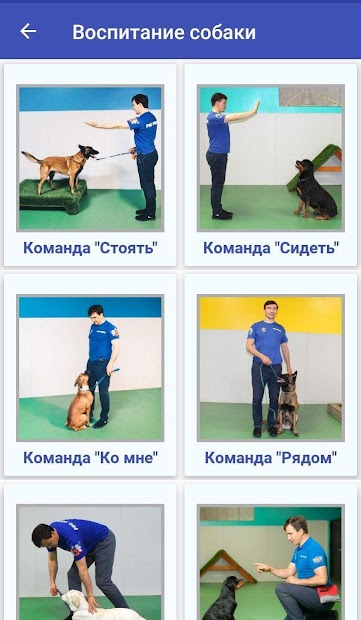 Дрессировка собак - скриншот 2