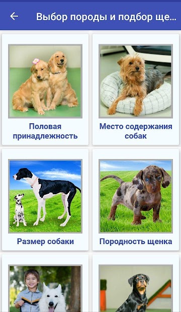 Дрессировка собак - скриншот 3
