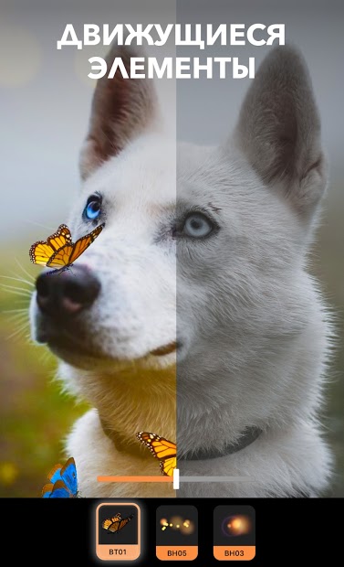 Enlight Pixaloop - скриншот 3