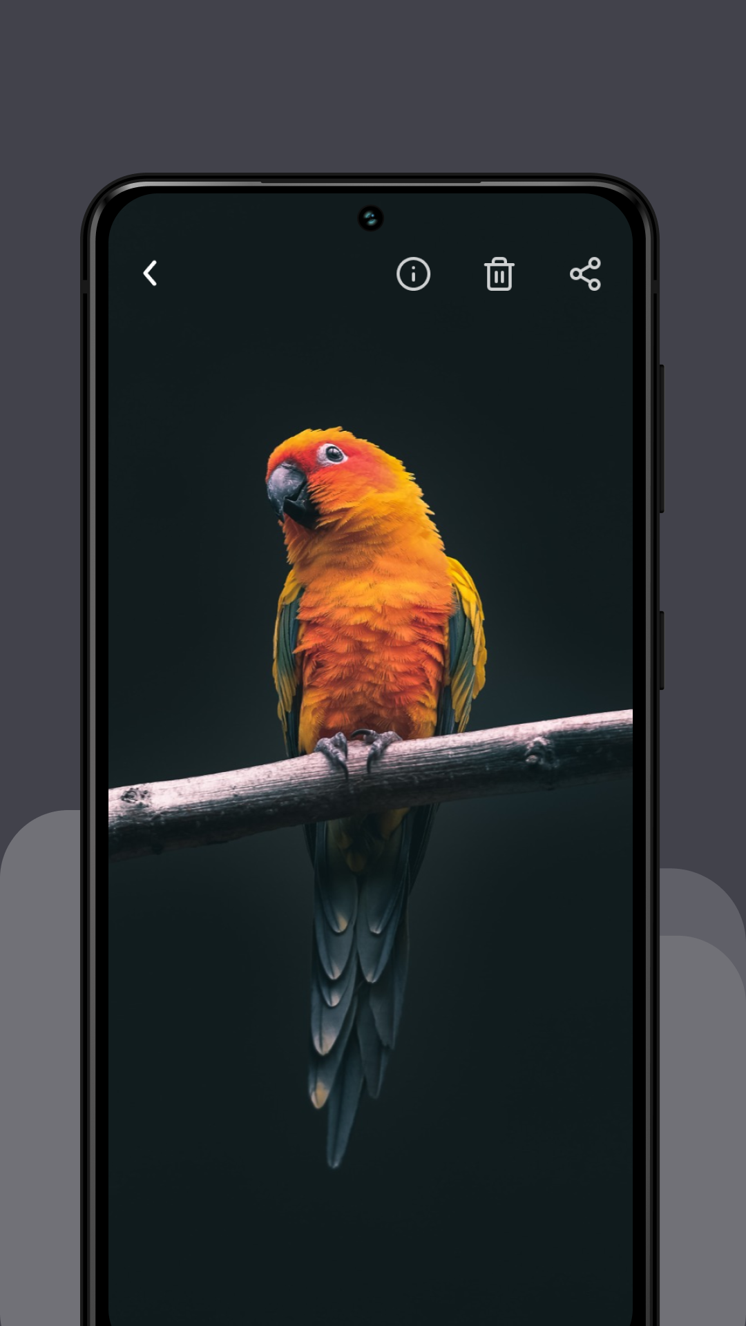FileBox - скриншот 3
