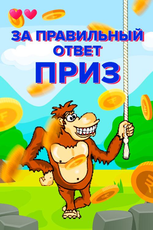 Monkey Crazy - скриншот 3