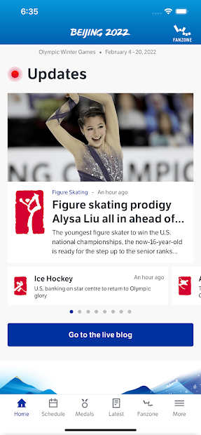 Olympics - скриншот 1