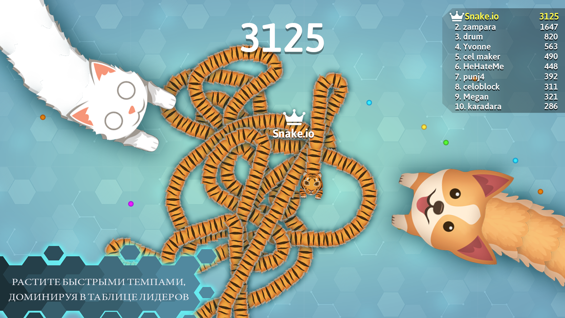 Snake.io – бесплатная классическая аркада io игра - скриншот 4